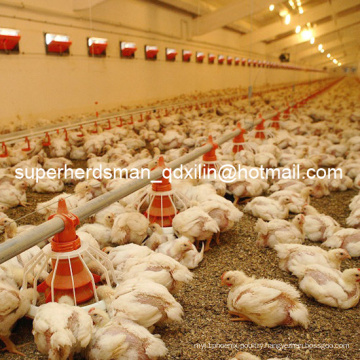 Full Set Poultry House Equipments for Broiler House